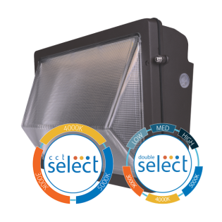OWG4 - LED Wallpack